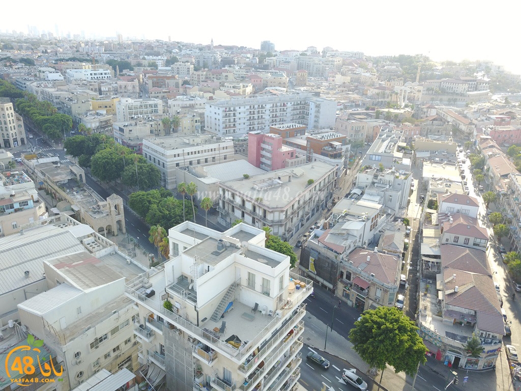 jamal basha tsterre (41).JPG